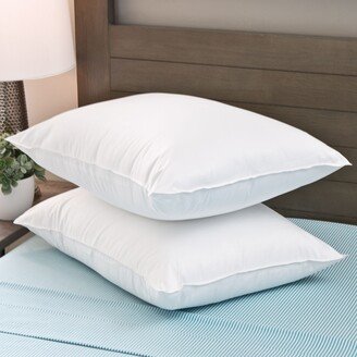 Cozy Classics MicronOne Pillow Protectors