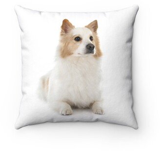 Icelandic Sheepdog Pillow - Throw Custom Cover Gift Idea Room Decor