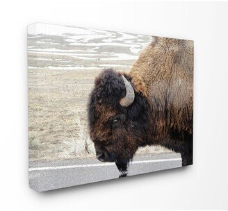 Beautiful Buffalo Photography Canvas Wall Art, 30 x 40