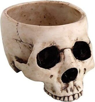 6.75 Inch Resin Open Skeleton Skull Figurine Medium Bowl, Beige