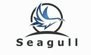 Salted Seagull Promo Codes & Coupons