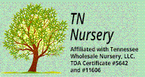 Tn Nursery Promo Codes & Coupons