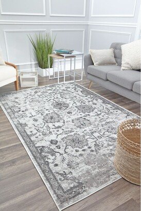 Freida FY30A Icy Grey Vintage Farmhouse Light Gray Area Rug,