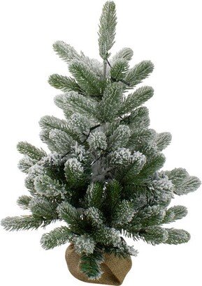 Northlight 2' B/O Potted Frosted Pine Medium Artificial Christmas Tree in a Burlap Pot- Warm White Lights