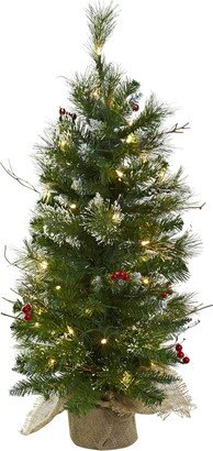 3-Ft. Christmas Tree with Clear Lights Berries and Burlap Bag