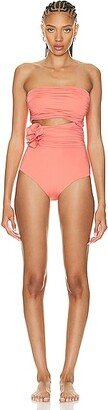 Cartago Swimsuit in Pink