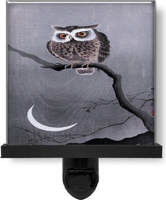 Japanese Creepy Owl Moon Animal Nature Vintage Style Glass Photo Night Light, Decorative Lights