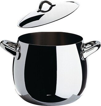 Matching-Lid Stainless-Steel Pot