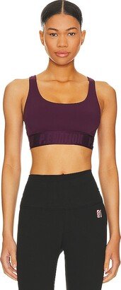 Backcheck Sports Bra-AB