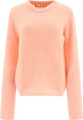 Crewneck Long-Sleeved Jumper-DA