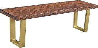 Timbergirl Lark Mango Wood Dining Bench with Gold legs - 60