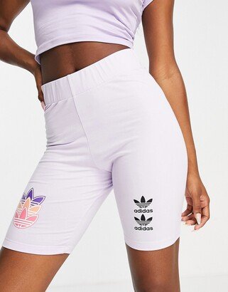 Trefoil legging shorts in purple