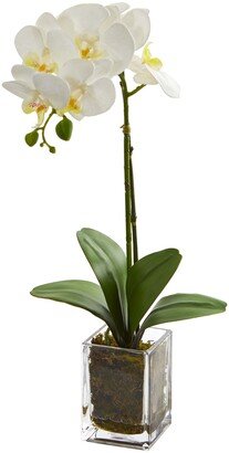 24 Orchid Phalaenopsis Artificial Arrangement in Vase - H: 24 In. W: 3.5 In. D: 3.5 In.