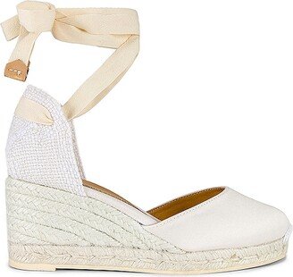 Carina Wedge