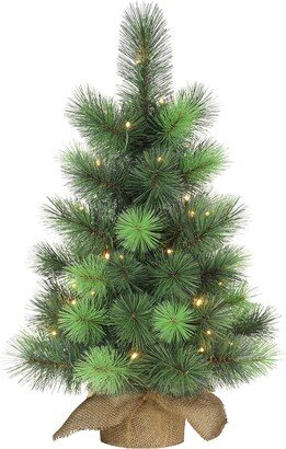 Pre-Lit 2' Table Top Artificial Christmas Tree with 35 Lights in Tan Sac-AA