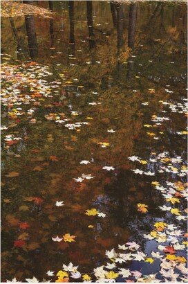 Kurt Shaffer Photographs November Reflections Canvas Art - 27 x 33.5
