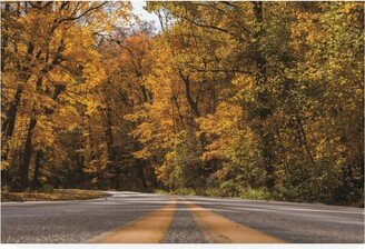 Kurt Shaffer Photographs Drive through Autumn Canvas Art - 19.5 x 26