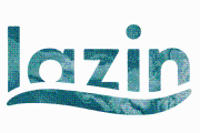 Lazin Silk Promo Codes & Coupons