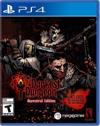 Crescent Marketing Darkest Dungeon - PlayStation 4