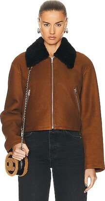 Nyla Simple Cropped Shearling Jacket in Cognac