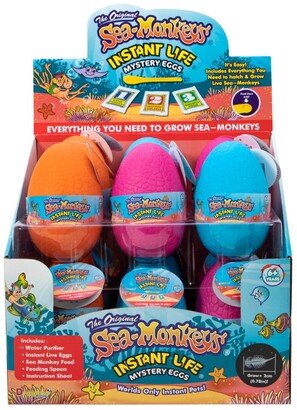 Asmadi Games Sea-Monkey Mystery Eggs Instant Pet Set