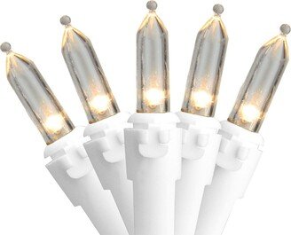 Northlight Set of 50 Warm White Led Mini Christmas Lights 4 Spacing - White Wire
