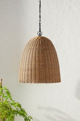 Coastal Living Beehive Indoor/Outdoor Pendant