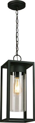 Walker Hill Outdoor Pendant Light