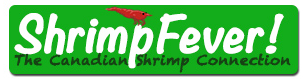 Shrimp Fever Promo Codes & Coupons
