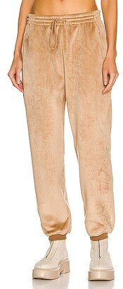 Relaxed Fit Sweatpant in Tan