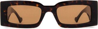 Gg1425s Havana Sunglasses