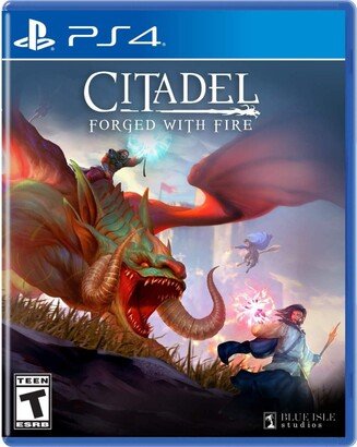 Solutions 2 Go Citadel: Forged with Fire - PlayStation 4