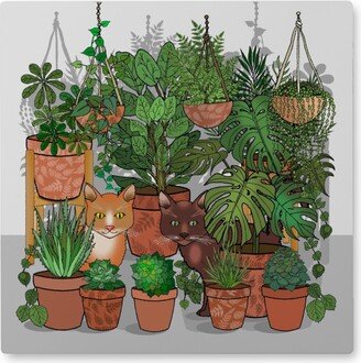 Photo Tiles: Cats In An Indoor Garden - Green Photo Tile, Metal, 8X8, Green