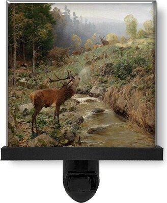 Beautiful Bull Elk Deer By Mountain Stream Vintage Style Art Glass Photo Night Light, Decorative Lights