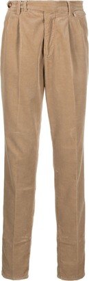 Tapered Cotton Trouser