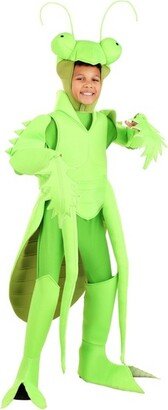 HalloweenCostumes.com Medium Kid's Praying Mantis Costume, Green/Green