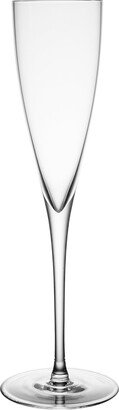 Richard Ginori - President Clear Champagne Flute