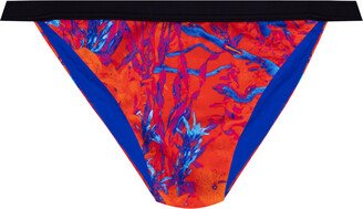 Swimsuit Bottom - Multicolour