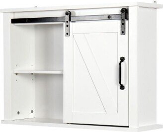 Organnice Bathroom Wall Cabinet with 2 Adjustable Shelves