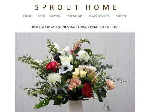 Sprout Home Promo Codes & Coupons
