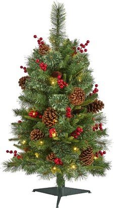 3ft Pre-Lit LED Norway Mixed Pine with Pinecones and Berries Artificial Christmas Tree Clear Lights