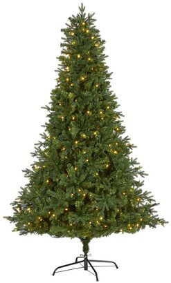 Vermont Fir Artificial Christmas Tree with 350 Clear Led Lights