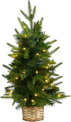 Artificial Christmas Tree with 35 Clear Led Lights in Decorative Basket, 2'