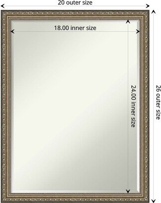 Petite Bevel Wood Wall Mirror - Parisian Silver Frame - Parisian Silver - 20 x 26 in