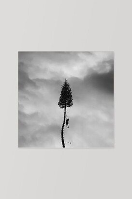 Manchester Orchestra - Black Mile to the Surface LP