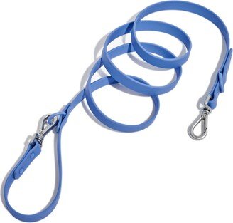 Standard Leash for Dogs