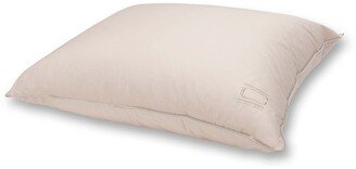 Nikki Chu Queen Cotton White Down Pillow with Removable Cover