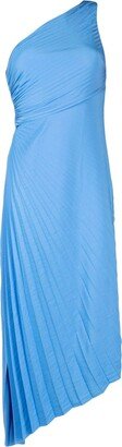 One-Shoulder Pleated Maxi Dress