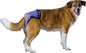 PoochPad PoochPants Diapers for Pets - Blue - XL