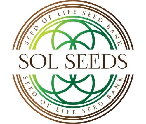 Sol Seeds Promo Codes & Coupons